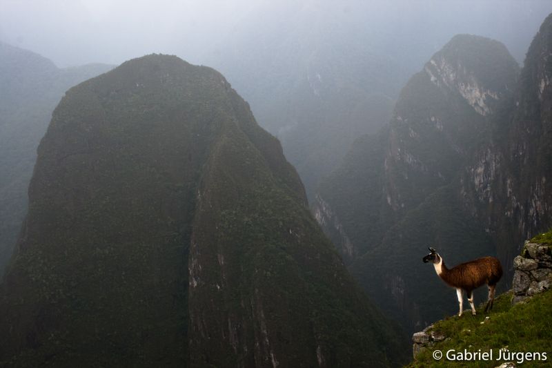 Machu Picchu 2010-01-05  