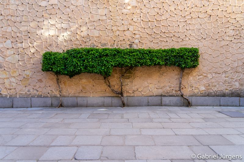 Segovia, España. 2019-05-14  