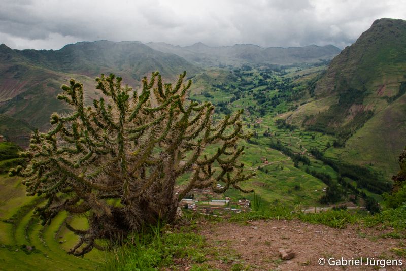 Valle Sagrado 2010-01-10  