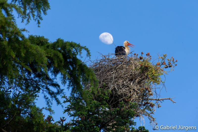 Segovia, España. 2019-05-14  