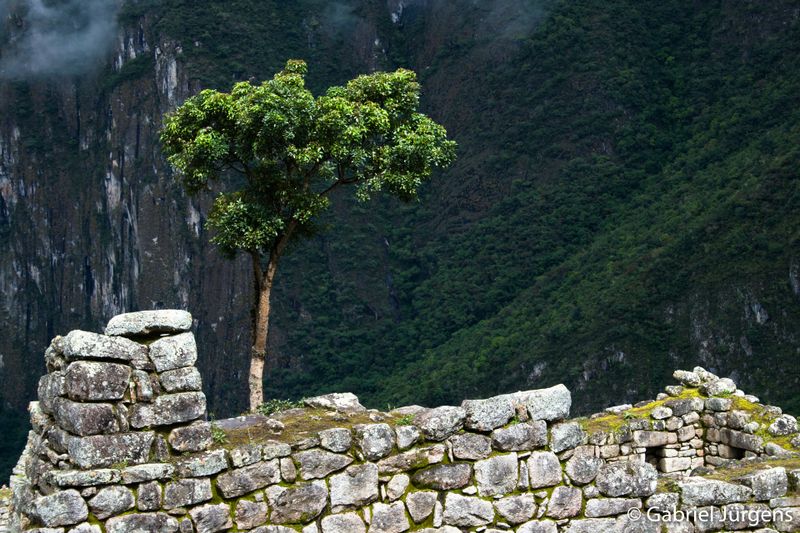 Machu Picchu 2010-01-05  