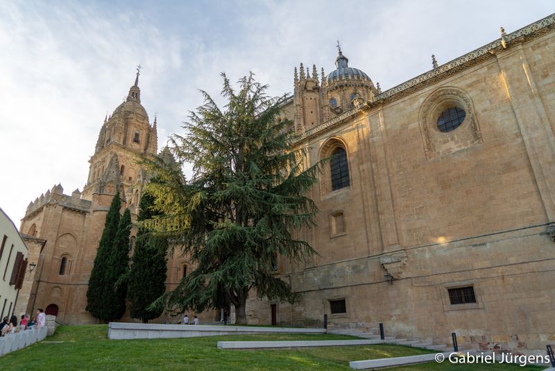 Salamanca, España. 2019-05-15  